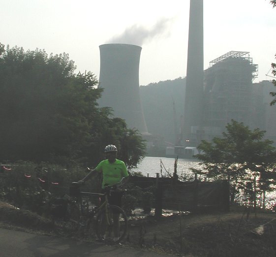 At least they're not genetically modified crops.